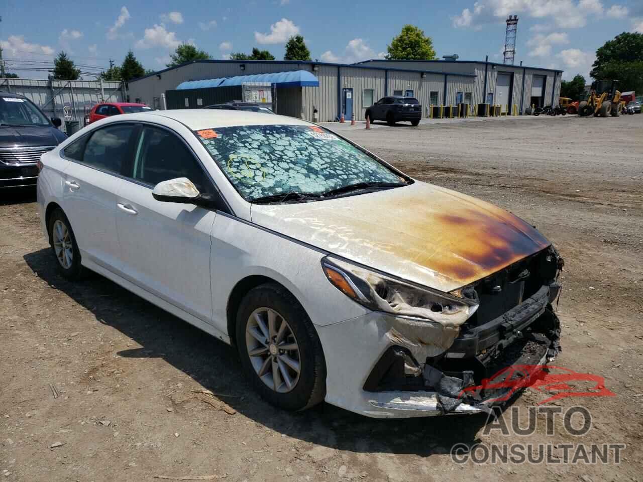 HYUNDAI SONATA 2019 - 5NPE24AF0KH741507