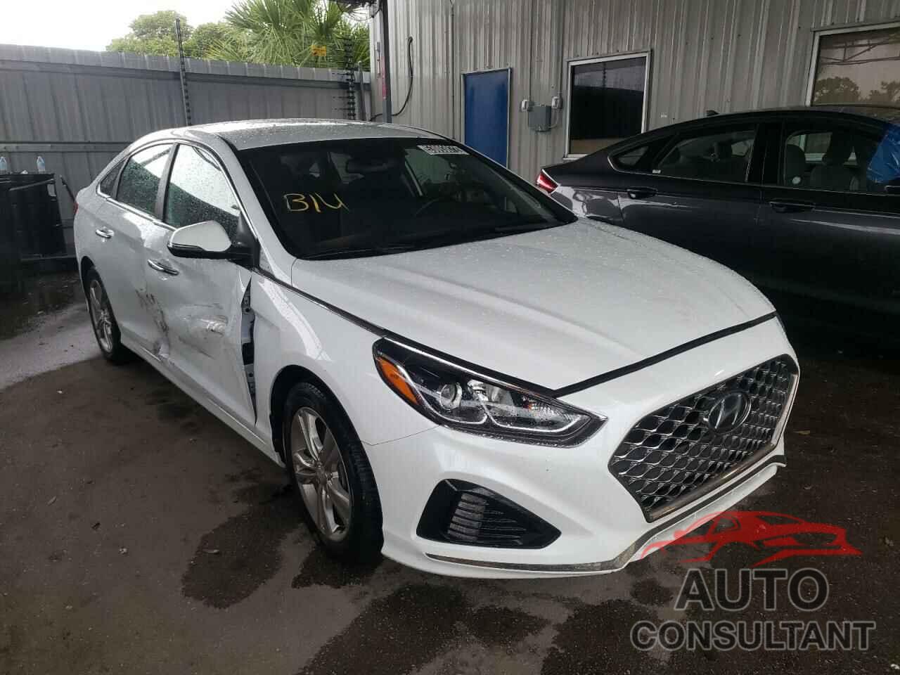 HYUNDAI SONATA 2019 - 5NPE34AF7KH780348