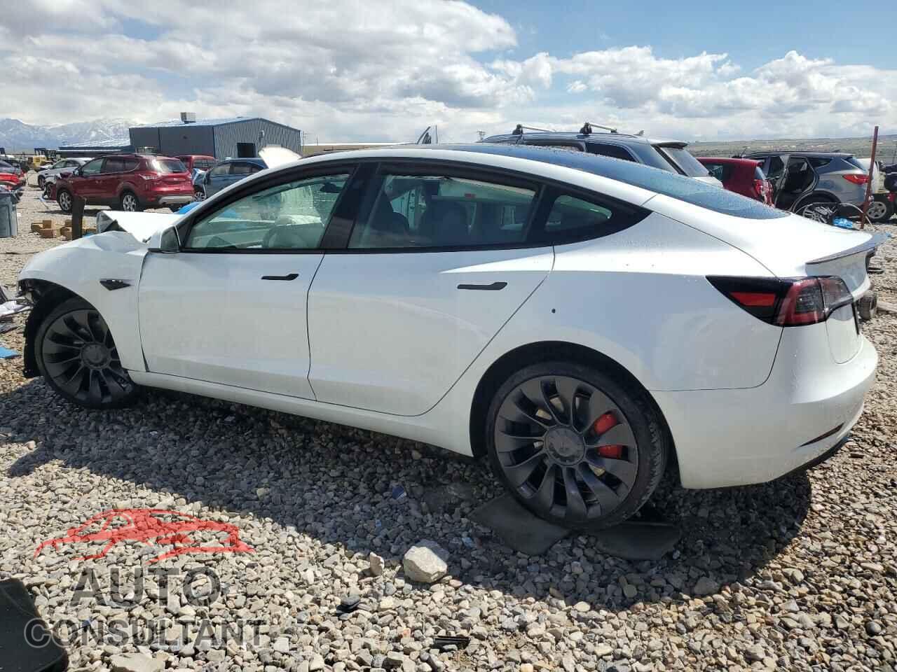 TESLA MODEL 3 2023 - 5YJ3E1EC1PF706879