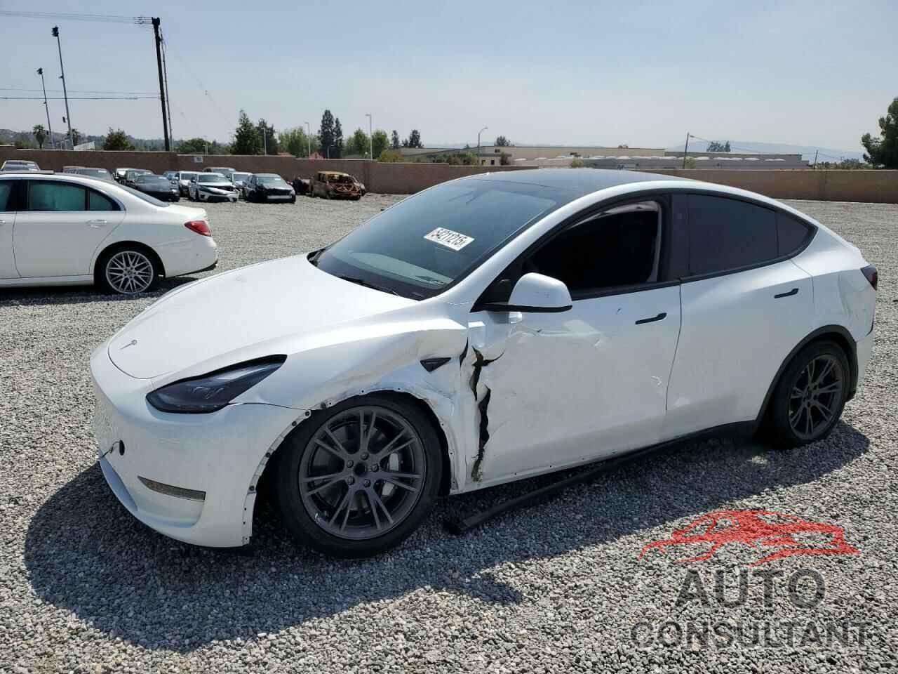 TESLA MODEL Y 2024 - 7SAYGDED6RF107654