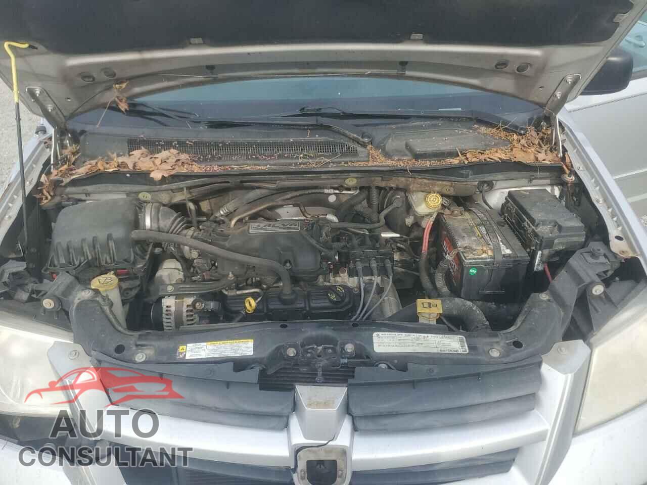 DODGE CARAVAN 2010 - 2D4RN3D11AR332407