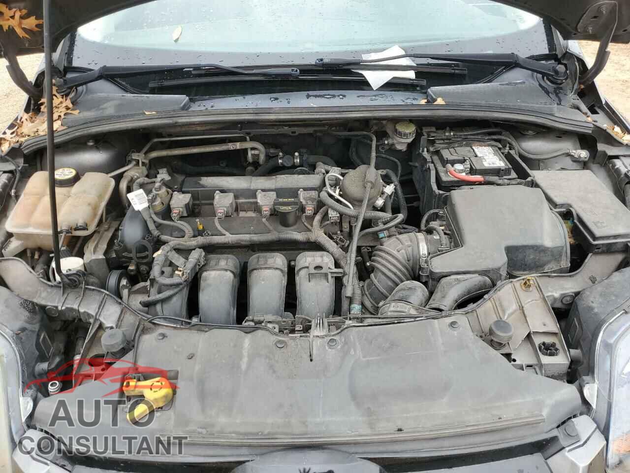 FORD FOCUS 2013 - 1FADP3N2XDL106748