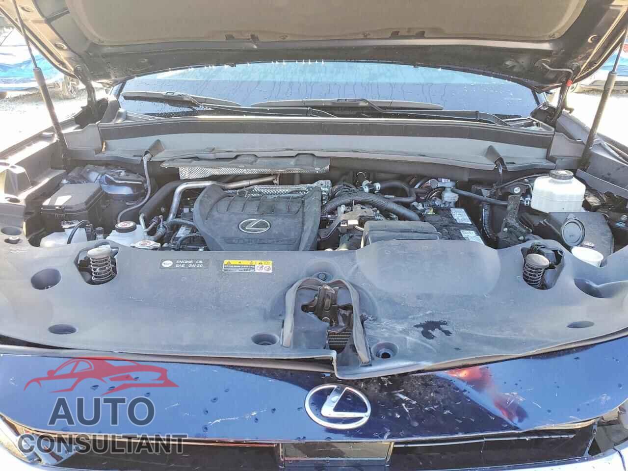LEXUS UNKNOWN 2025 - 5TDAAAB61SS021108