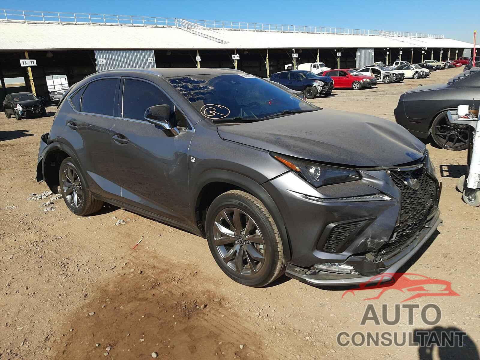 LEXUS NX 2019 - JTJYARBZ3K2128883