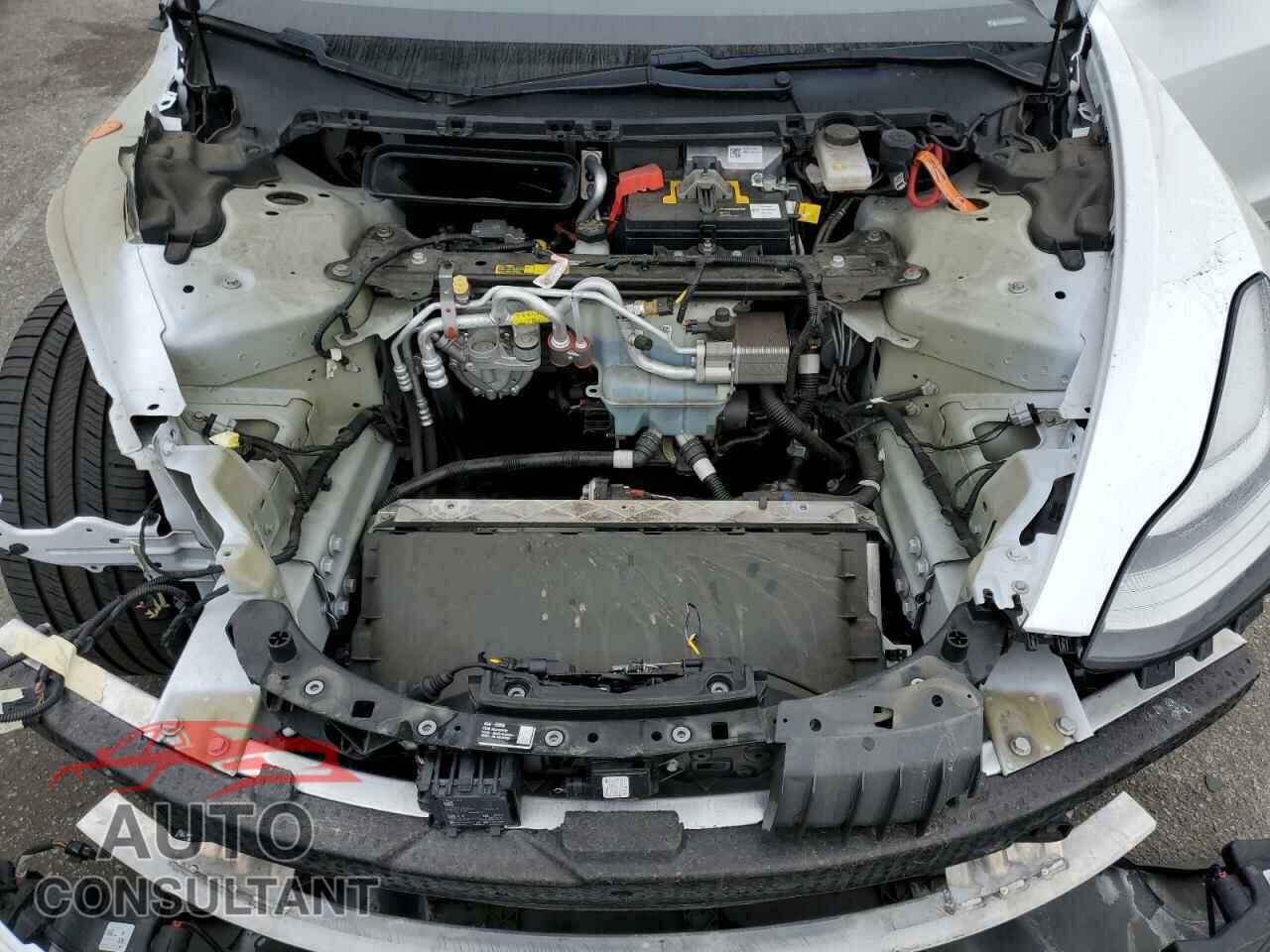 TESLA MODEL 3 2020 - 5YJ3E1EA0LF631343
