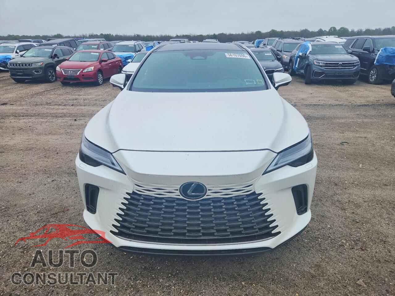 LEXUS RX350 2023 - 2T2BAMCA4PC014951