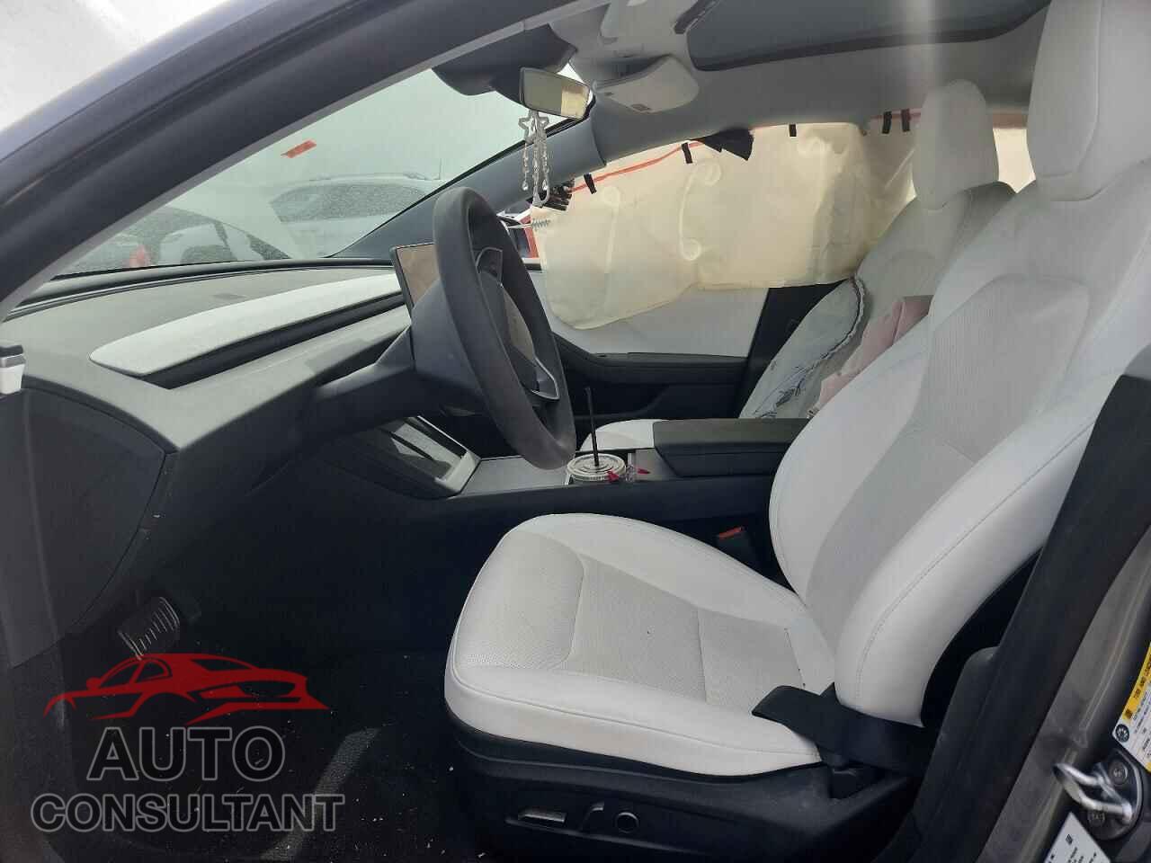 TESLA MODEL 3 2025 - 5YJ3E1EA3SF993973