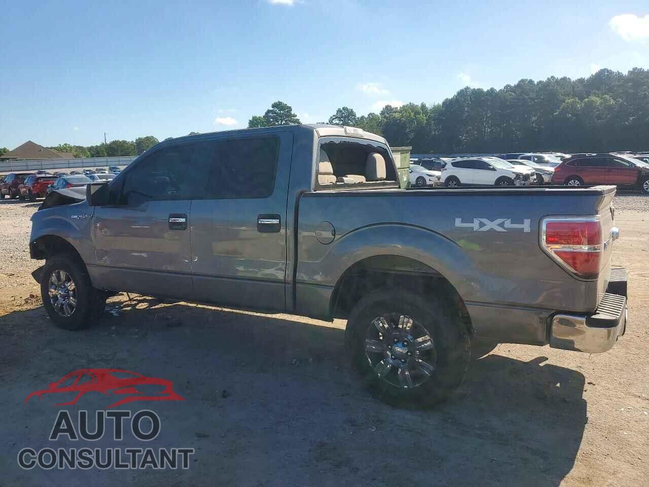 FORD F150 2010 - 1FTFW1EV2AFD84459