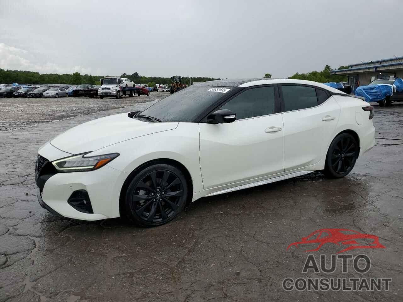 NISSAN MAXIMA 2023 - 1N4AA6EV8PC506926