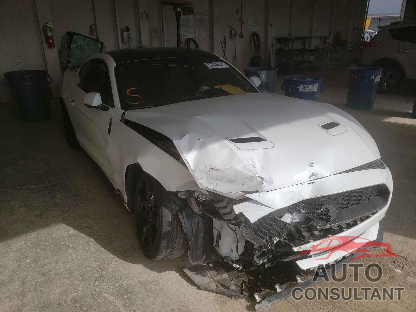 FORD MUSTANG 2019 - 1FA6P8TH6K5161826