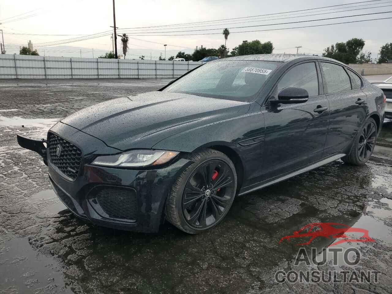 JAGUAR XF 2024 - SAJBL4GX9RCY94846