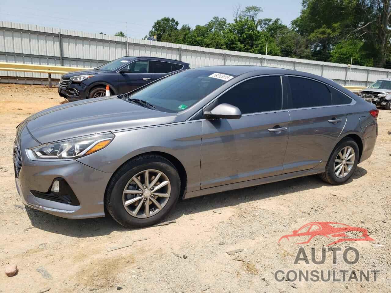 HYUNDAI SONATA 2019 - 5NPE24AF9KH770164