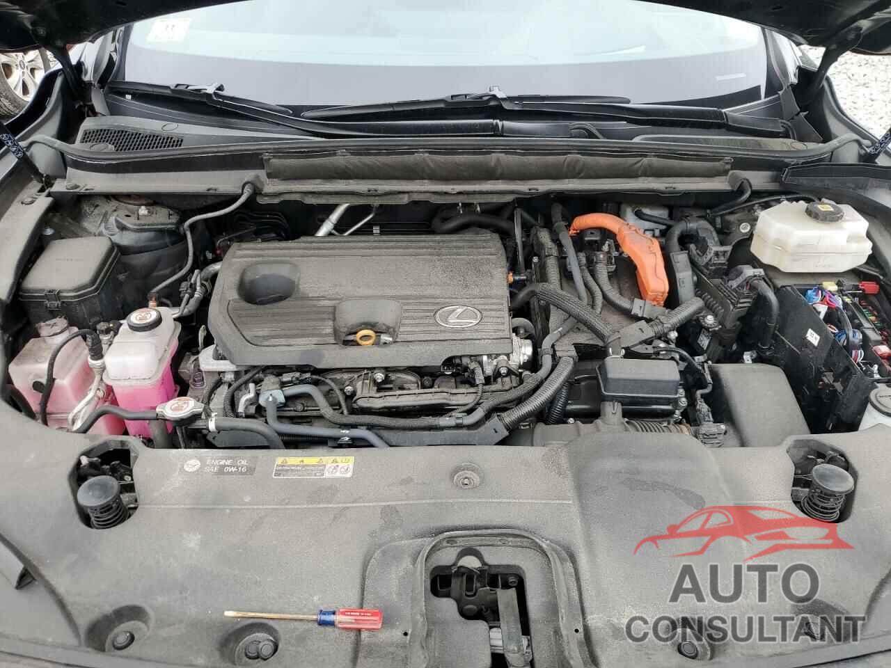 LEXUS RX 350H BA 2024 - 2T2BBMCA1RC023543