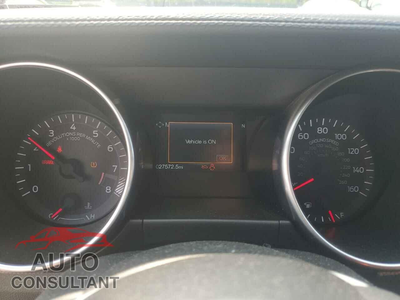 FORD MUSTANG 2019 - 1FA6P8CF3K5111433