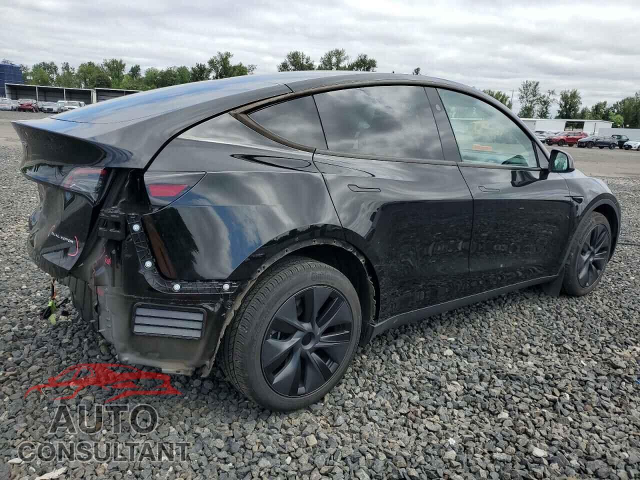 TESLA MODEL Y 2024 - 7SAYGDEE4RF209026