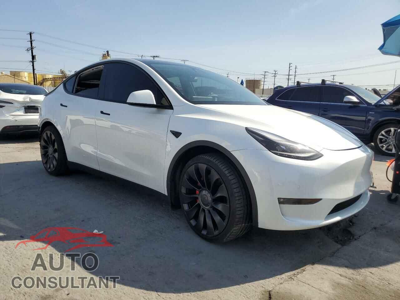 TESLA MODEL Y 2022 - 7SAYGDEF5NF456543