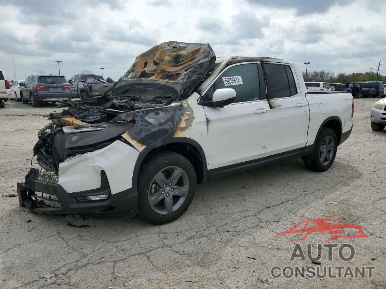 HONDA RIDGELINE 2023 - 5FPYK3F53PB035393