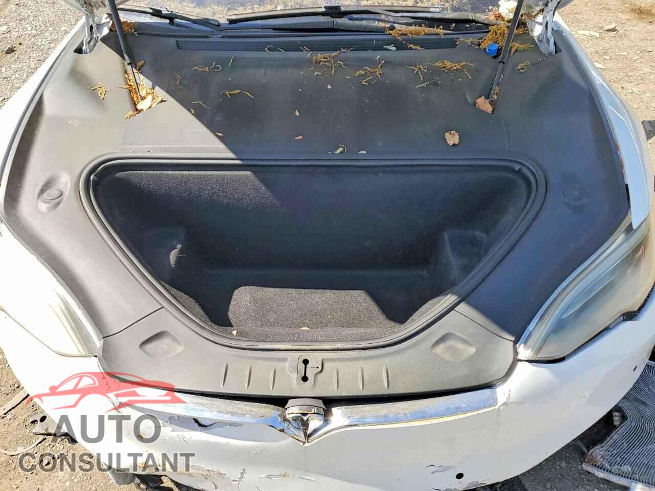 TESLA MODEL S 2019 - 5YJSA1E26KF334530