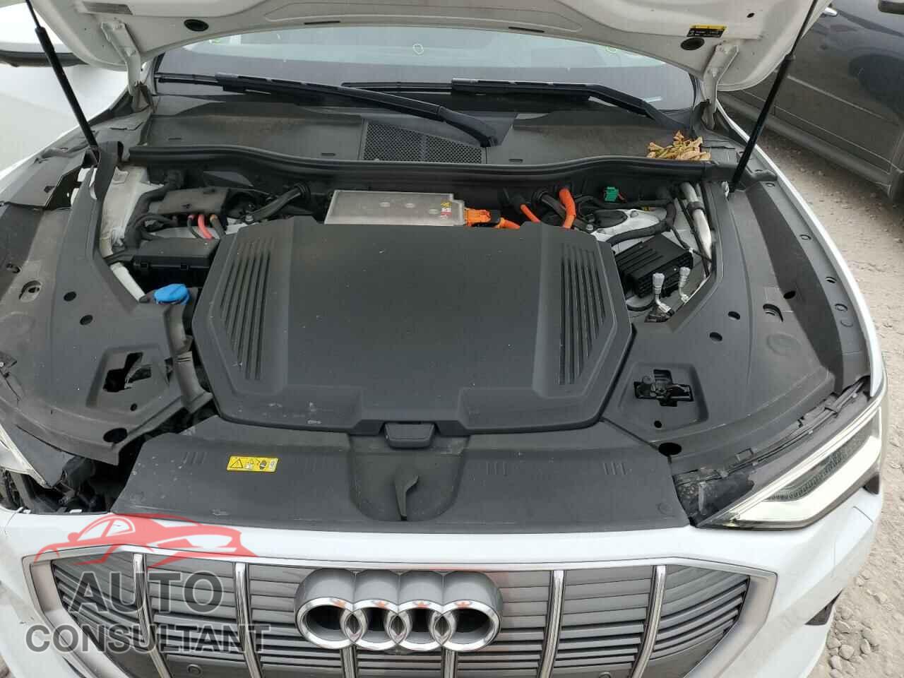 AUDI E-TRON 2019 - WA1VABGE9KB021981