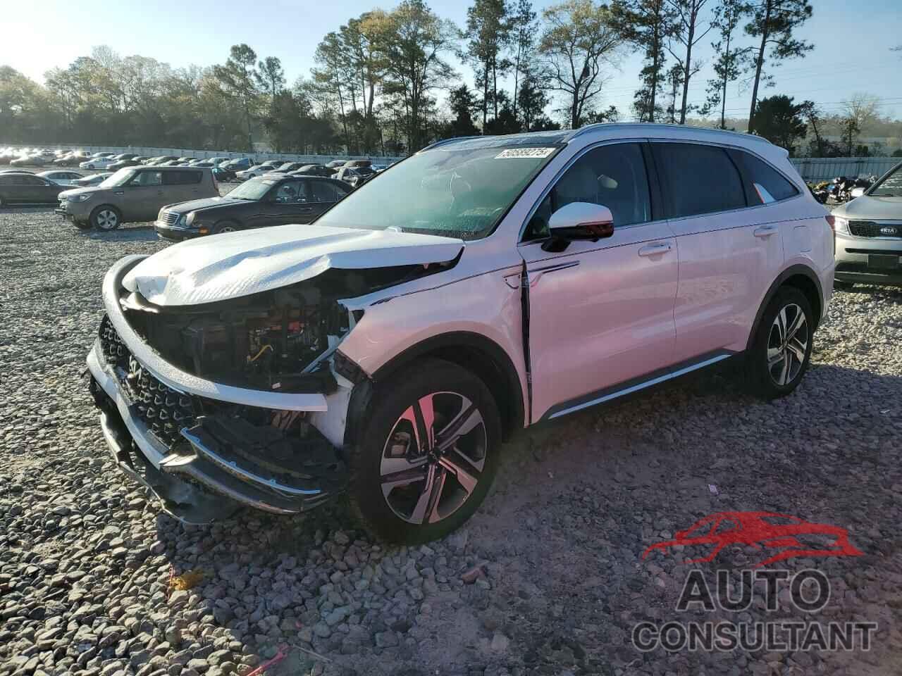 KIA SORENTO 2023 - KNDRMDLH1P5213704