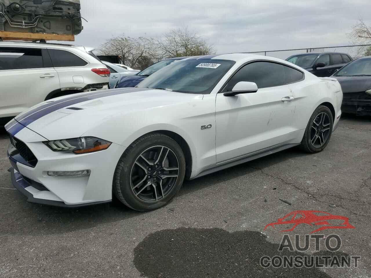 FORD MUSTANG 2019 - 1FA6P8CF7K5102363
