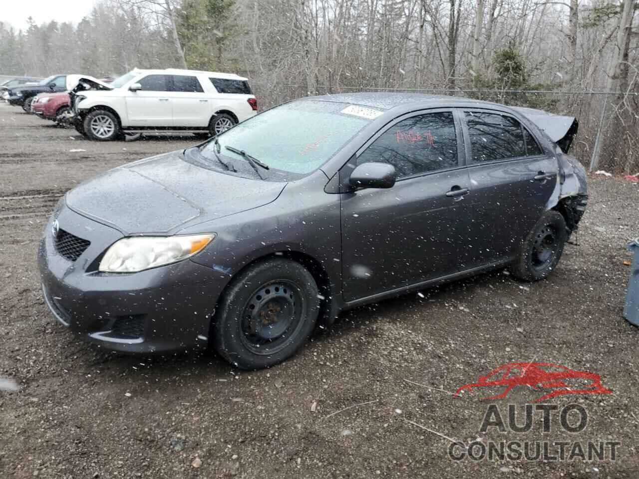 TOYOTA COROLLA 2010 - 2T1BU4EE5AC370523