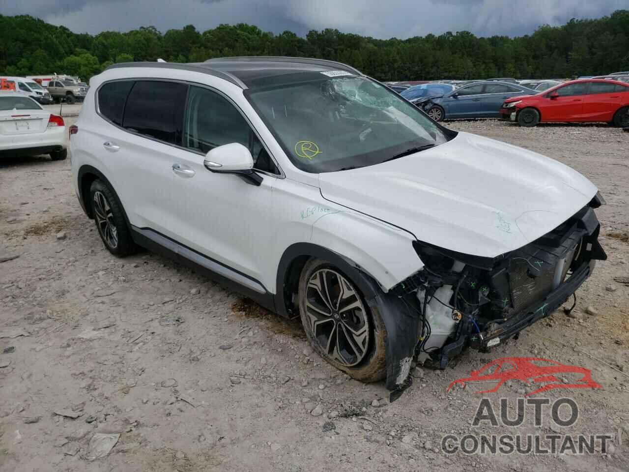 HYUNDAI SANTA FE 2019 - 5NMS53AA8KH016856