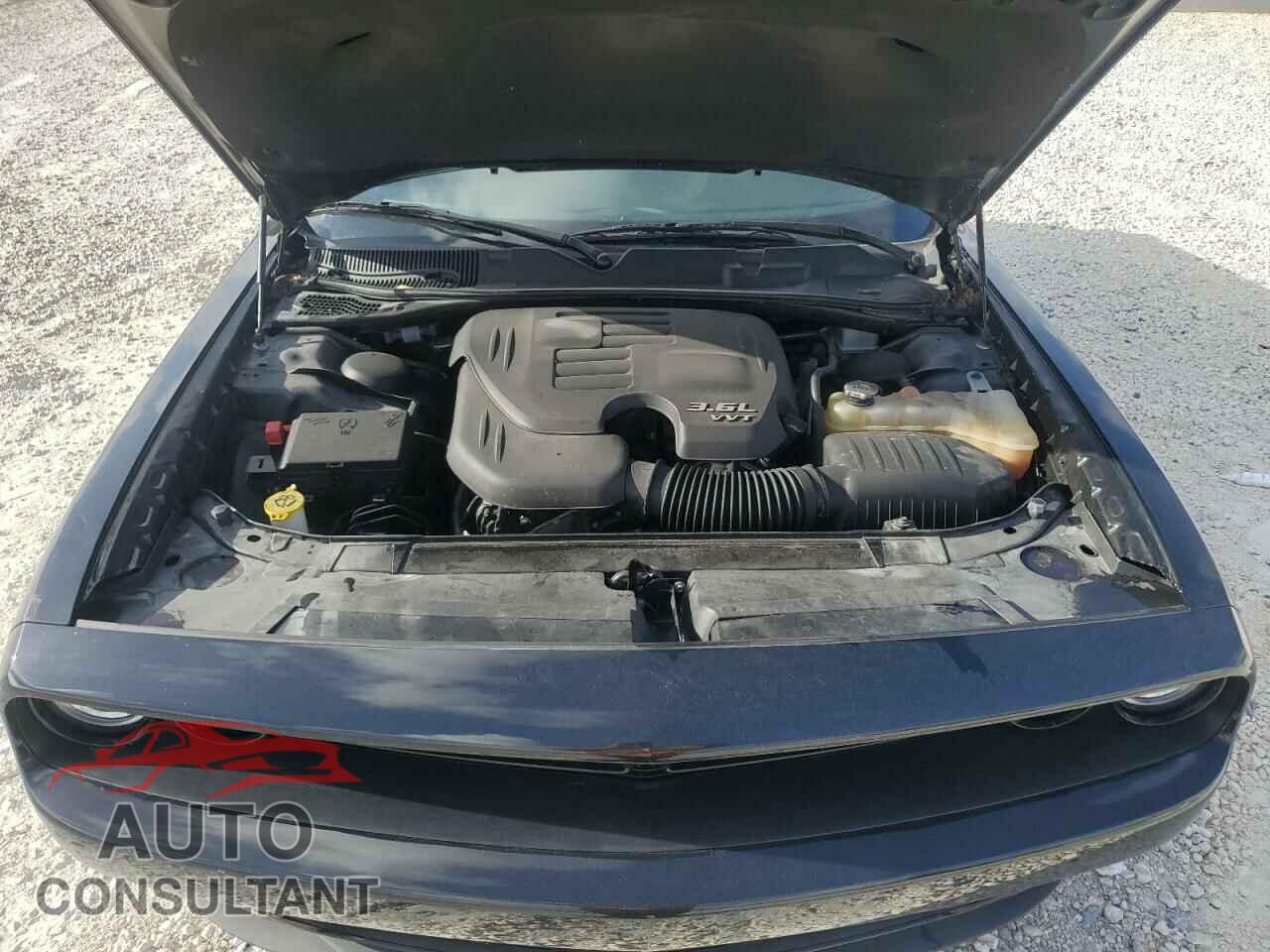 DODGE CHALLENGER 2019 - 2C3CDZAG7KH739659