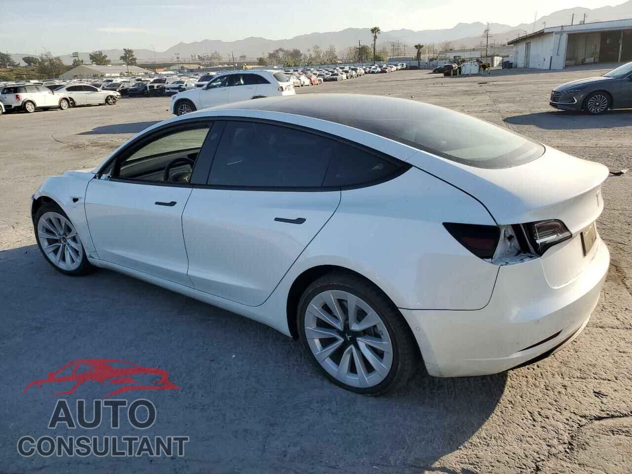 TESLA MODEL 3 2021 - 5YJ3E1EA5MF018216
