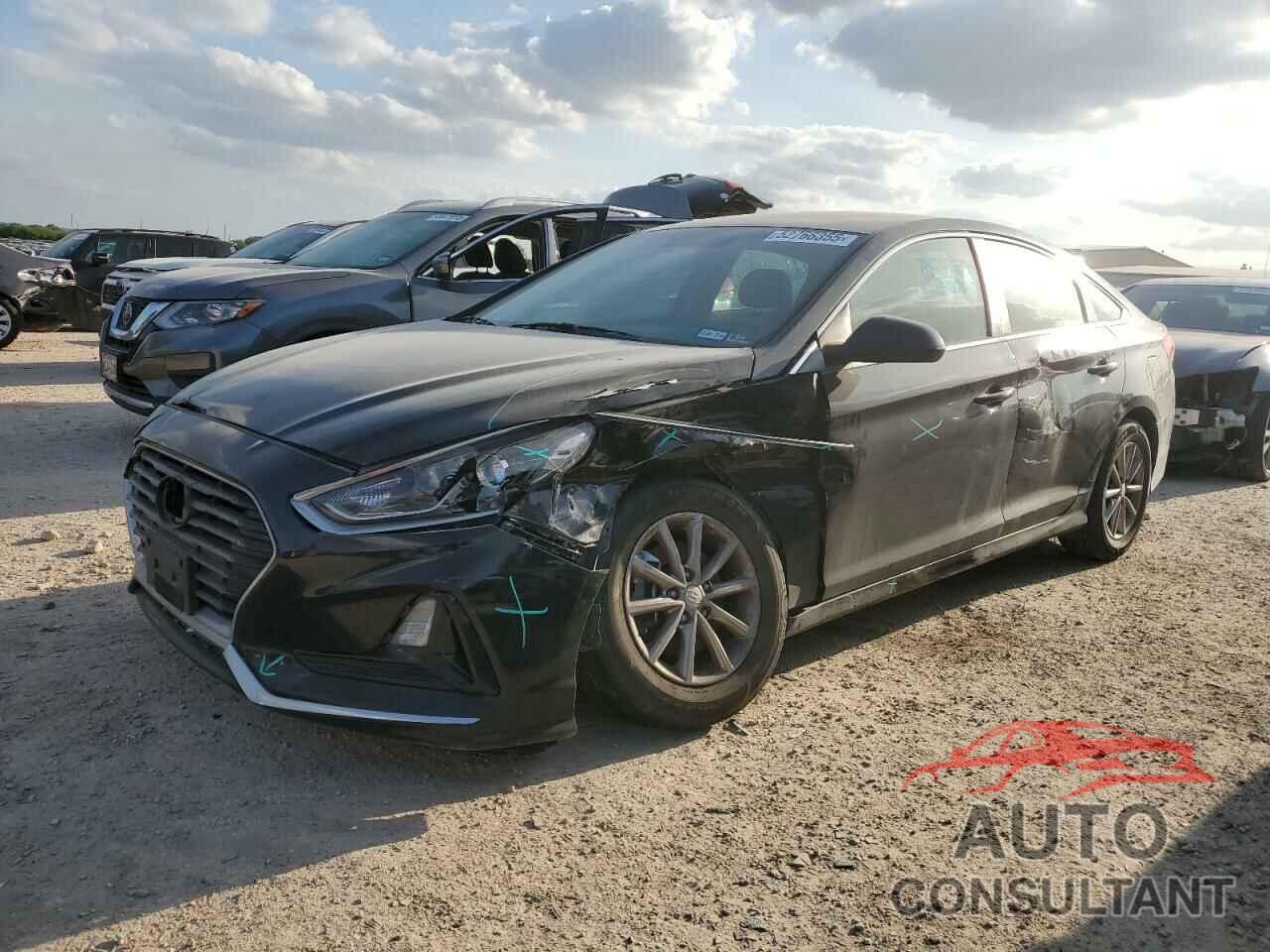 HYUNDAI SONATA 2019 - 5NPE24AF5KH789181