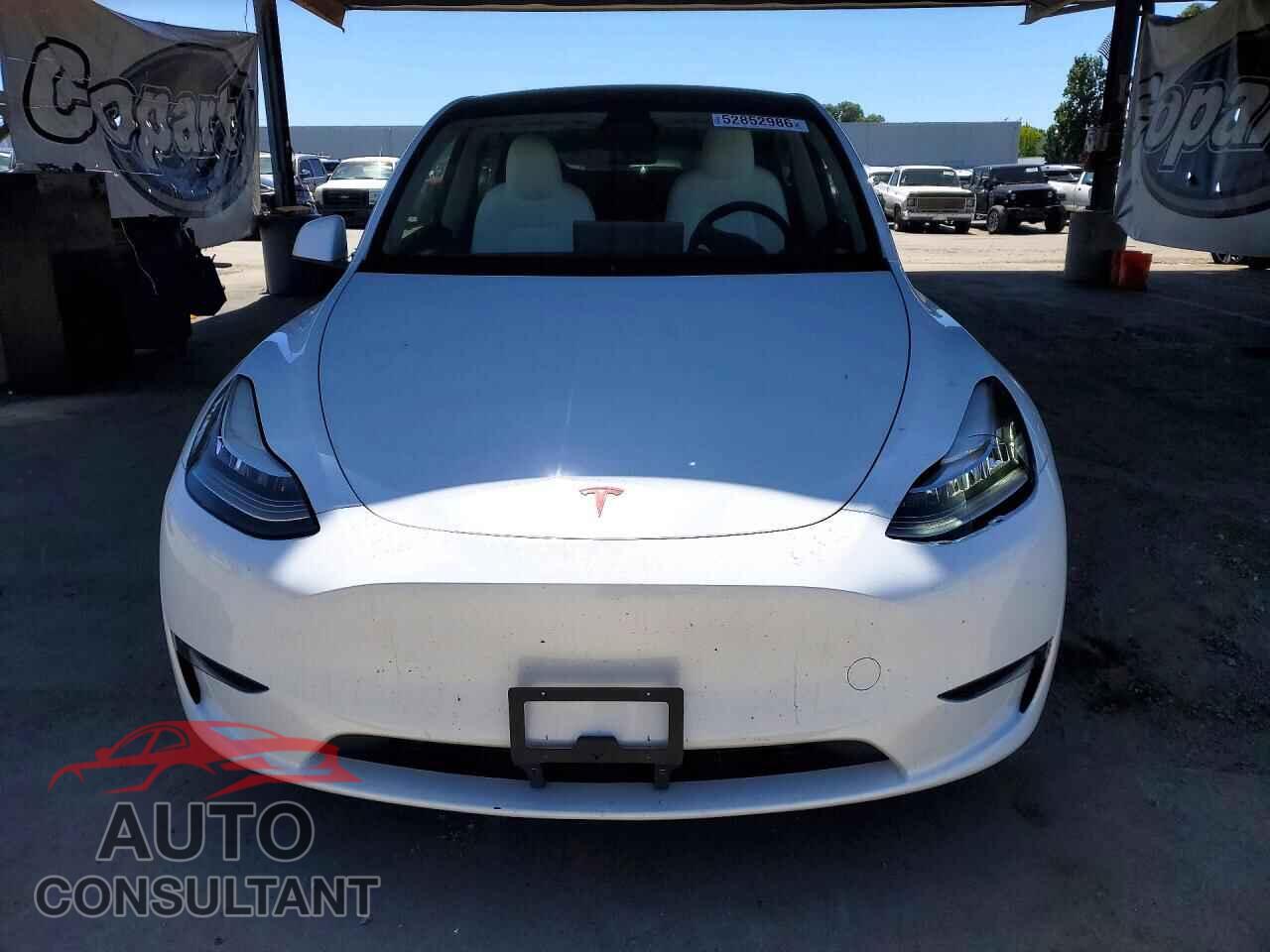 TESLA MODEL Y 2023 - 7SAYGDEFXPF822984