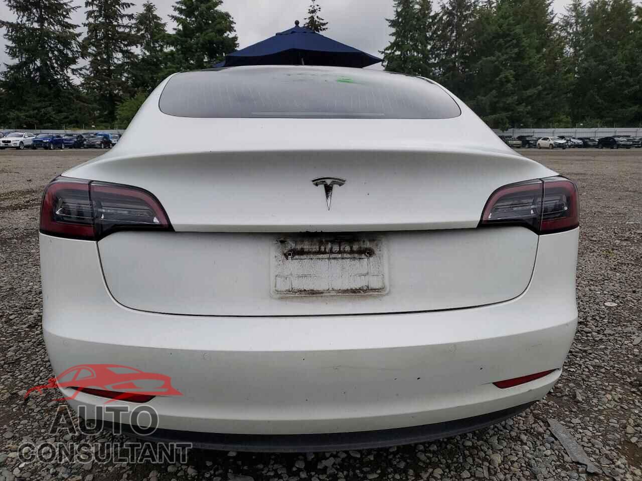 TESLA MODEL 3 2020 - 5YJ3E1EA7LF660452