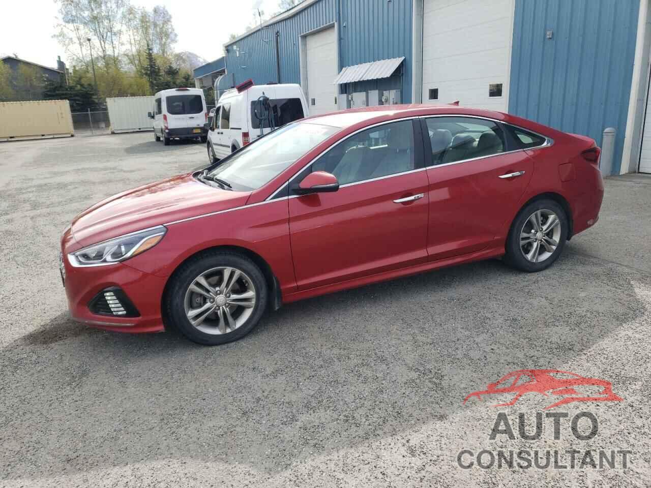 HYUNDAI SONATA 2019 - 5NPE34AF1KH783164