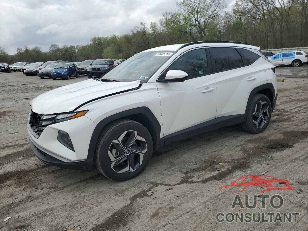 HYUNDAI TUCSON 2024 - 5NMJBCDE0RH423678