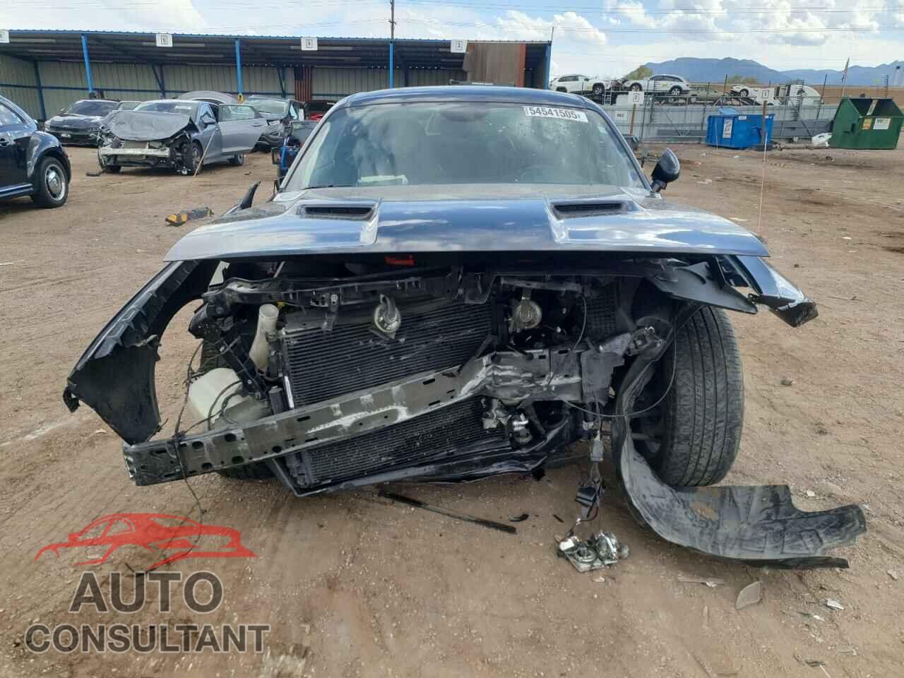 DODGE CHALLENGER 2019 - 2C3CDZAG8KH744658