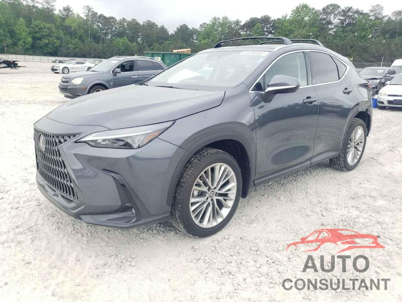 LEXUS NX 350 PRE 2025 - 2T2GGCEZ4SC081138