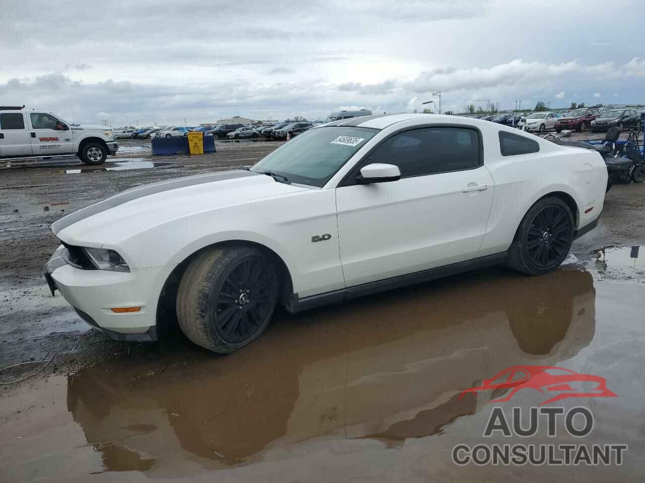 FORD MUSTANG 2012 - 1ZVBP8CF6C5285732