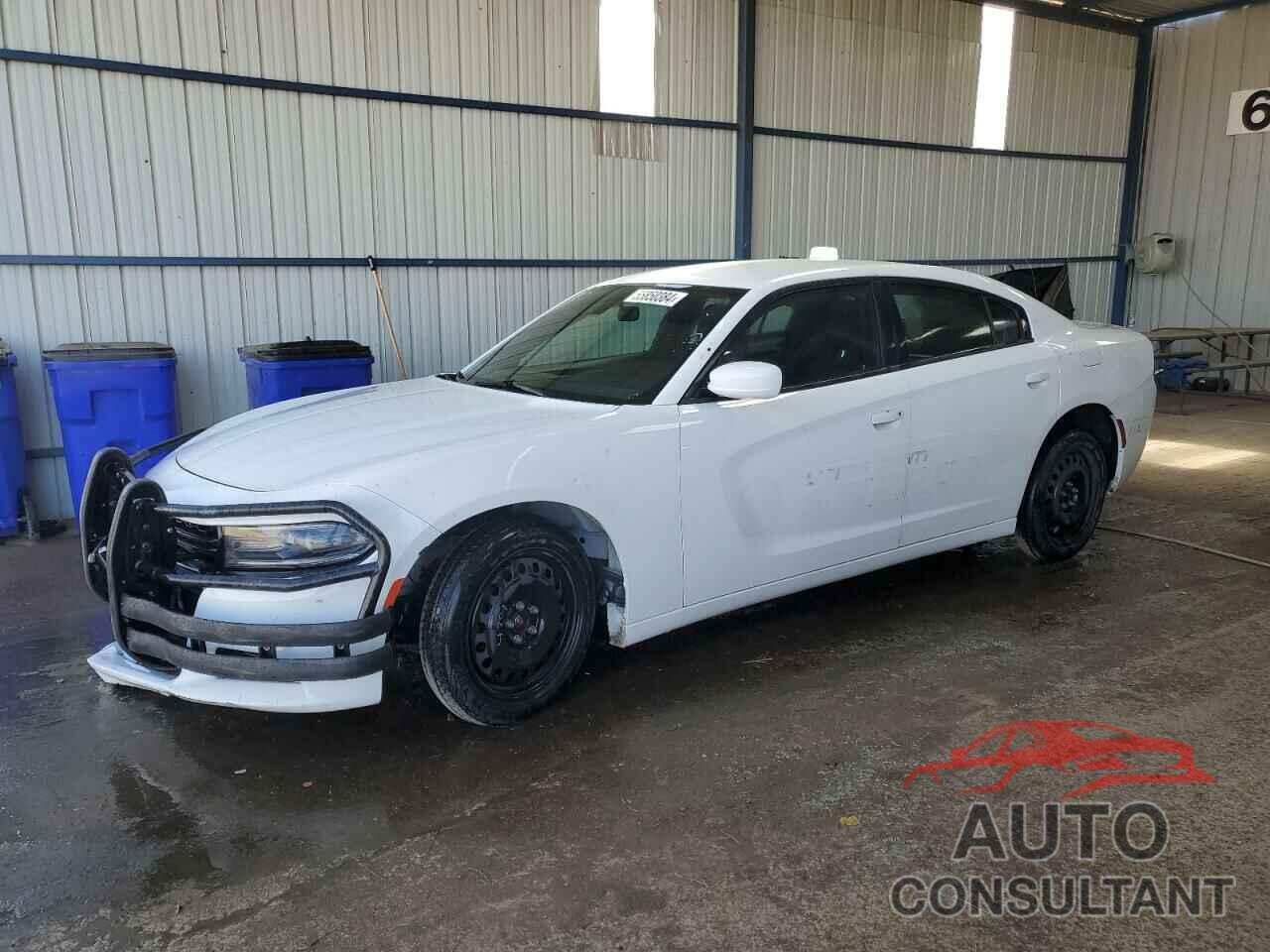 DODGE CHARGER 2019 - 2C3CDXKT0KH579494