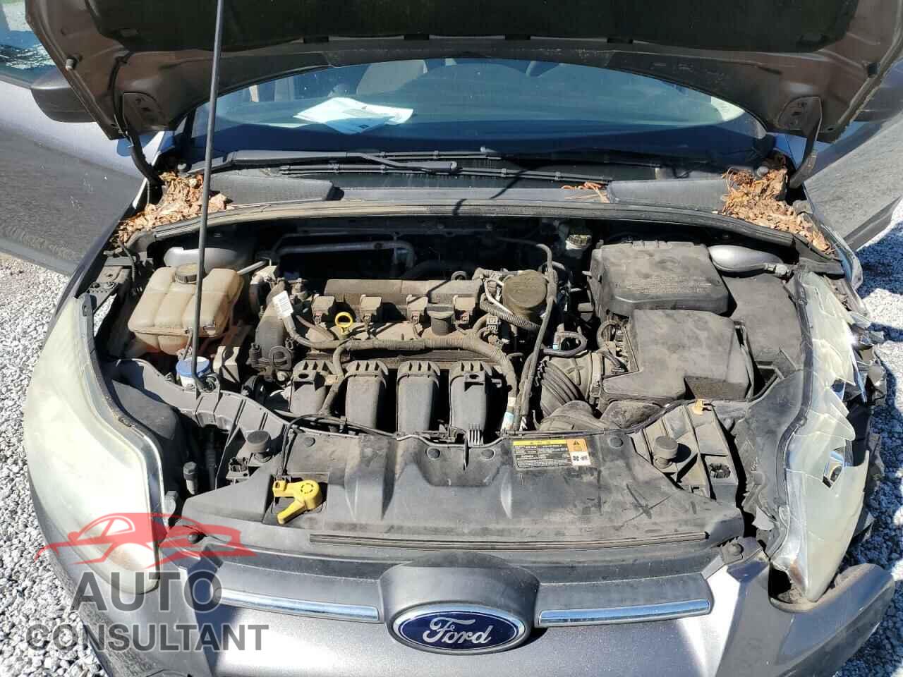 FORD FOCUS 2014 - 1FADP3E2XEL150802