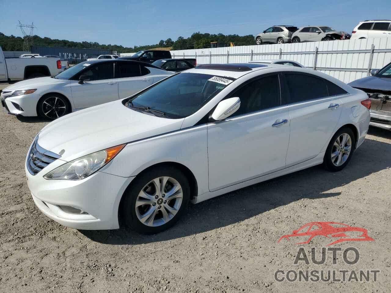 HYUNDAI SONATA 2011 - 5NPEC4ACXBH301751