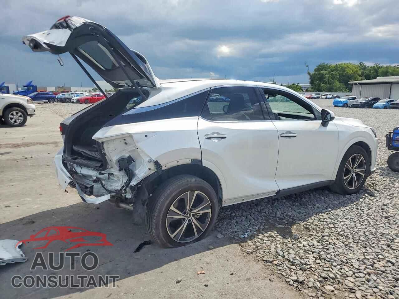 LEXUS RX350 2024 - 2T2BAMBA1RC045028