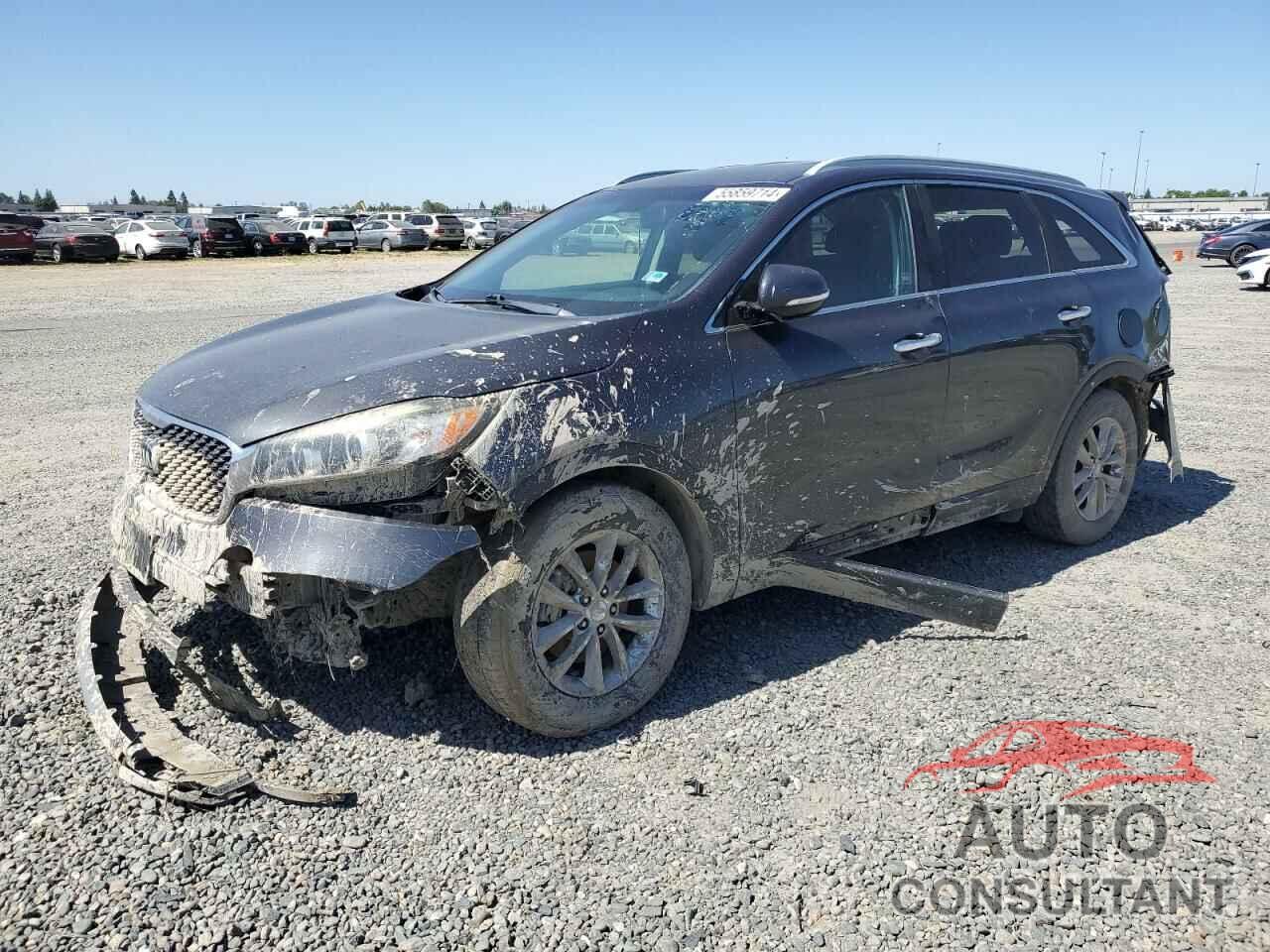 KIA SORENTO 2016 - 5XYPG4A35GG070978