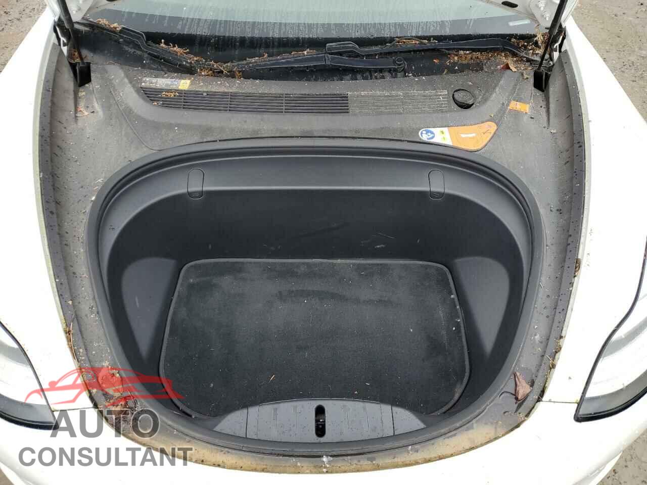 TESLA MODEL 3 2017 - 5YJ3E1EA7HF000824