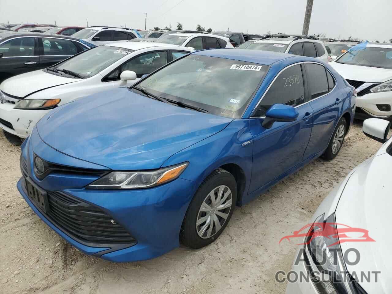 TOYOTA CAMRY 2019 - 4T1B31HK6KU005545