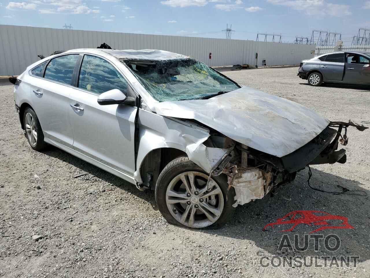 HYUNDAI SONATA 2019 - 5NPE34AF5KH792739