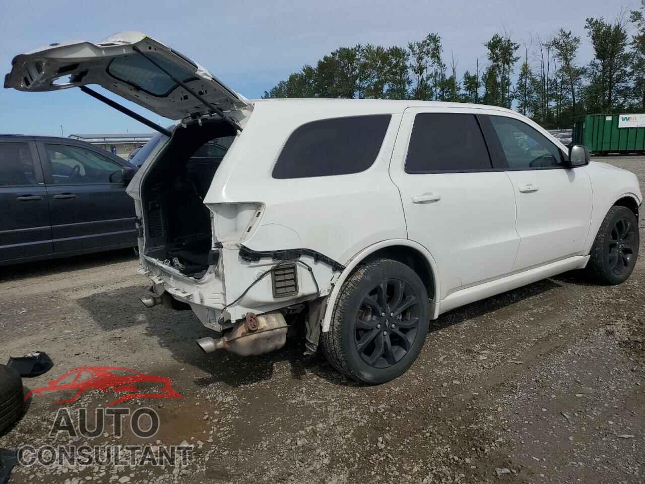 DODGE DURANGO 2019 - 1C4SDJCT3KC733797