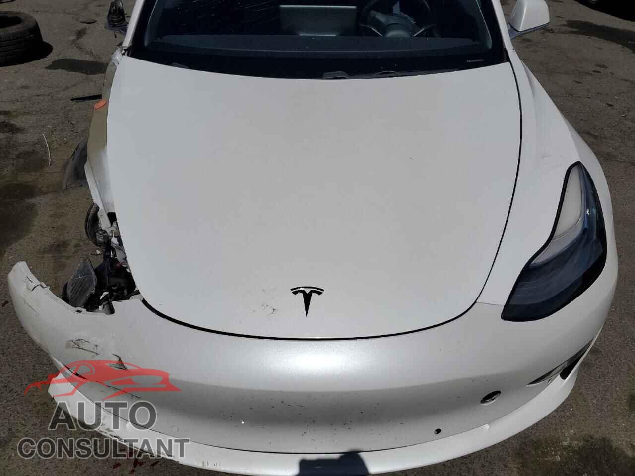 TESLA MODEL 3 2019 - 5YJ3E1EA7KF483562