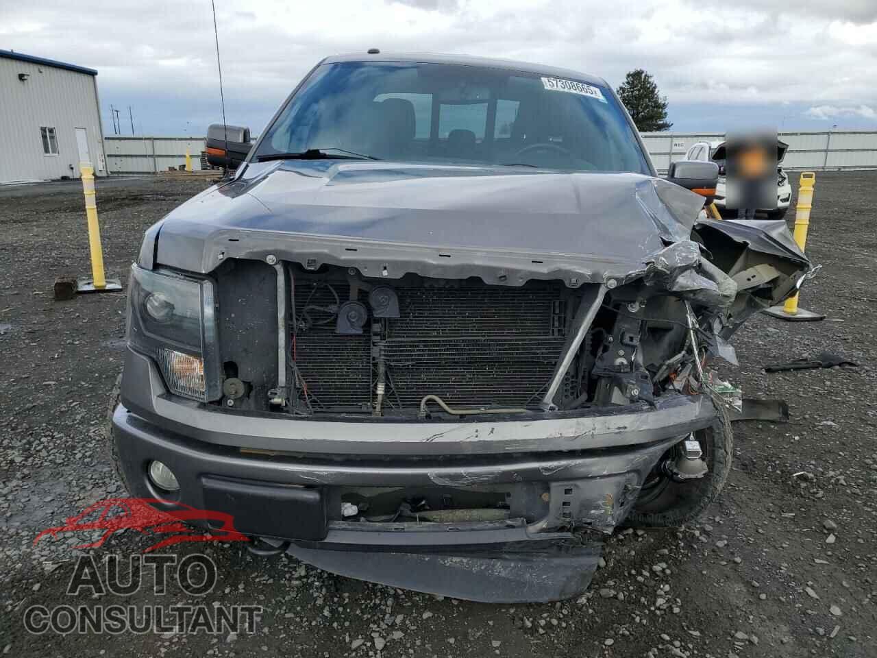 FORD F-150 2013 - 1FTFX1EF3DKD43128