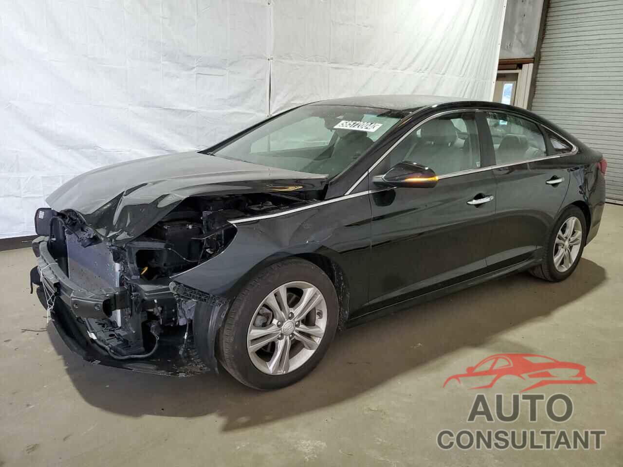 HYUNDAI SONATA 2019 - 5NPE34AF5KH725591