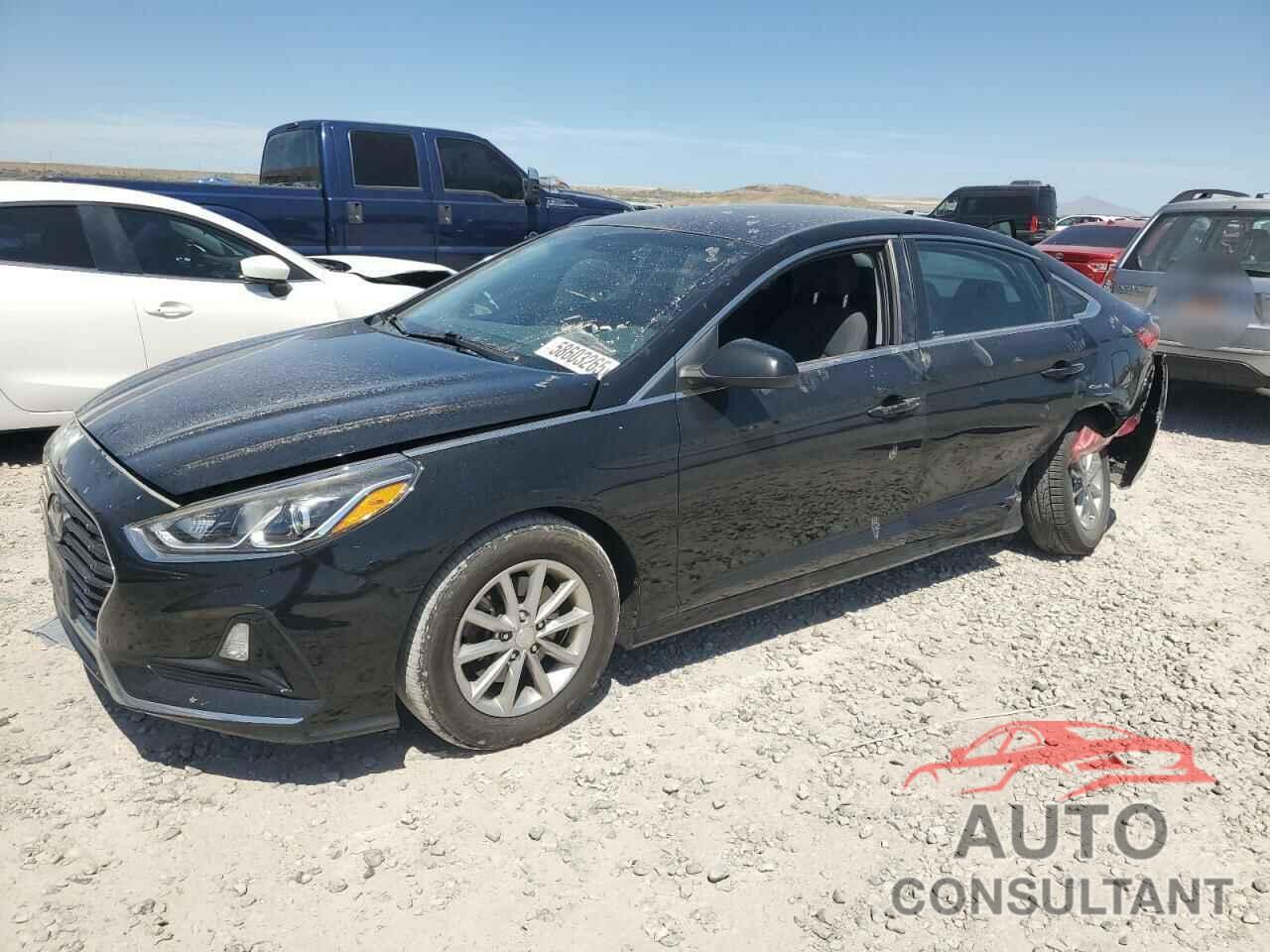 HYUNDAI SONATA 2019 - 5NPE24AF6KH747439